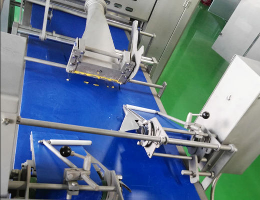 comprar Diversa máquina configurada del rollo de salchicha de los llenadores con 2 túneles de congelación para los pasteles llenados Fabricación en línea